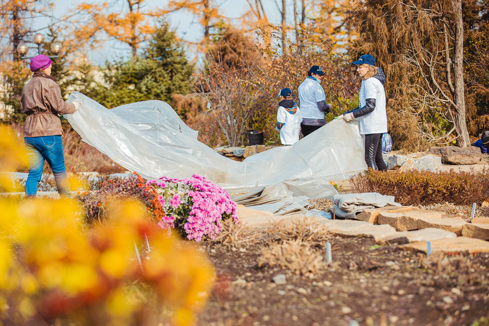 Сотрудники "Владхлеб" помогли подготовить к зиме Ботанический сад Владивостока